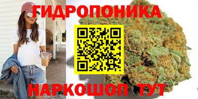 спиды Донской