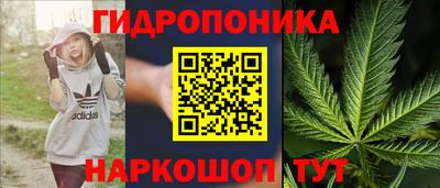 тгк Гусев